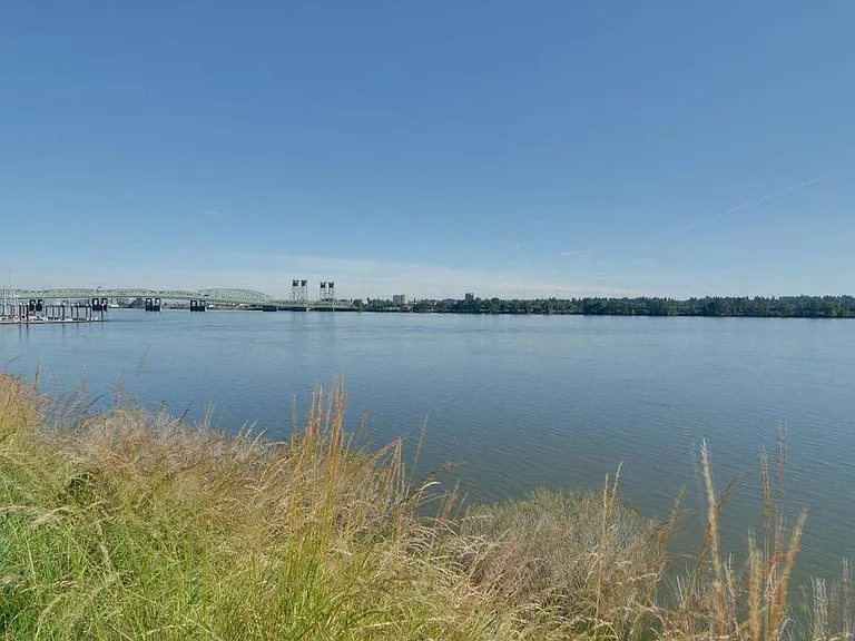 I5 Bridge views and Columbia River wildlife.