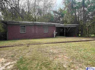 131 Sumter Ave, Hartsville, SC 29550