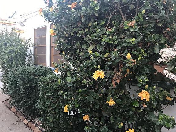 4th image of 2877 1/2 C St