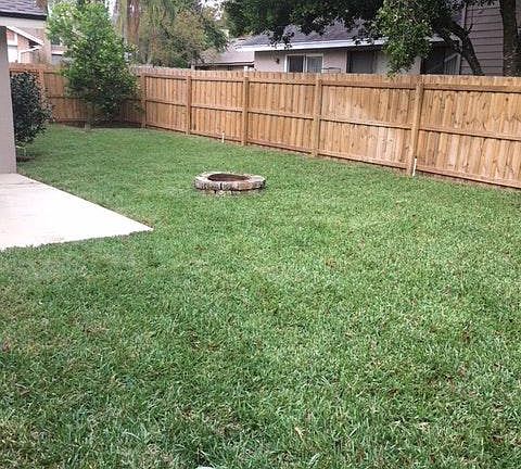 Back Yard