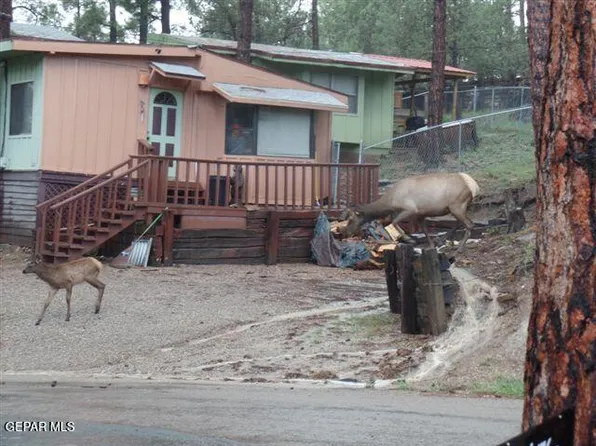 217 Juniper Rd, Ruidoso Downs, NM 88346