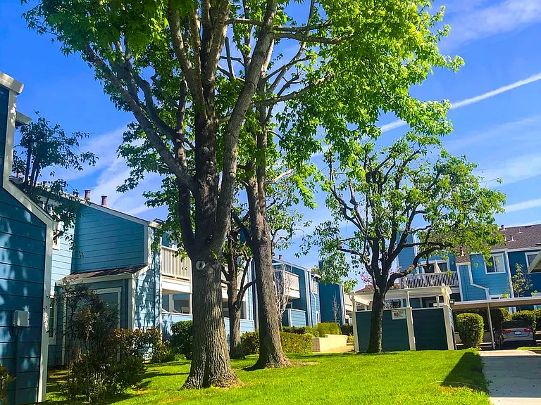 Mariner Village — Photo 14