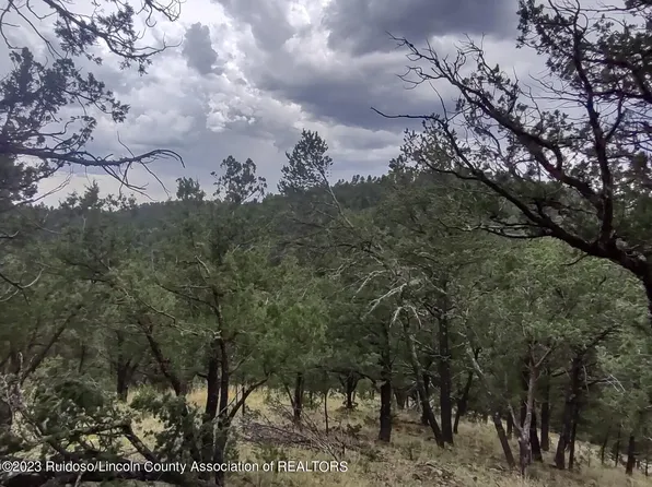 253 Lake Shore Dr, Alto, NM 88312
