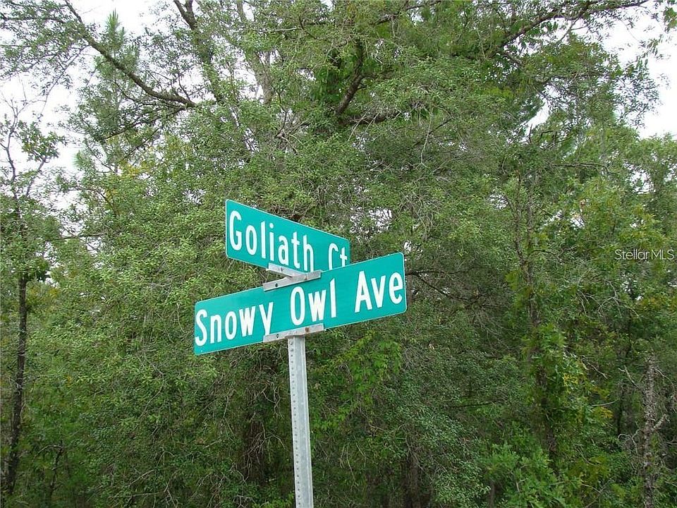2nd image of 0 GOLIATH COURT LOT 35