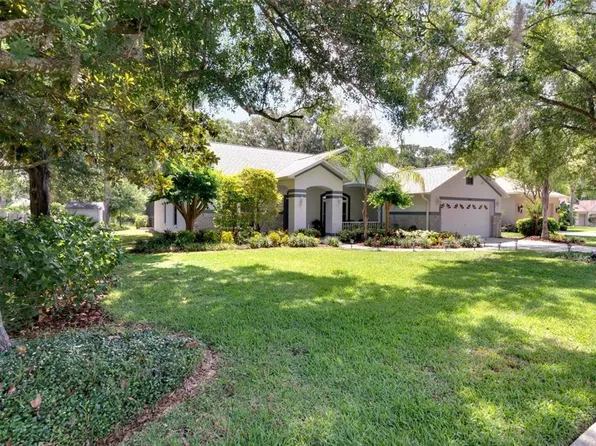 10108 Bell Creek Dr, Riverview, FL 33569