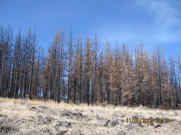 2nd image of LOT 18 N White Oak Ln