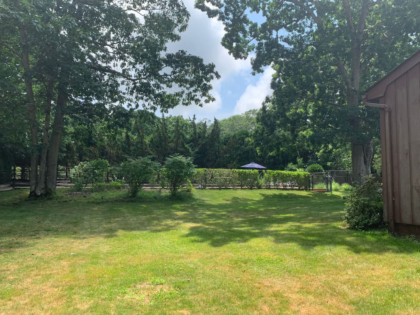 Side yard view to pool
