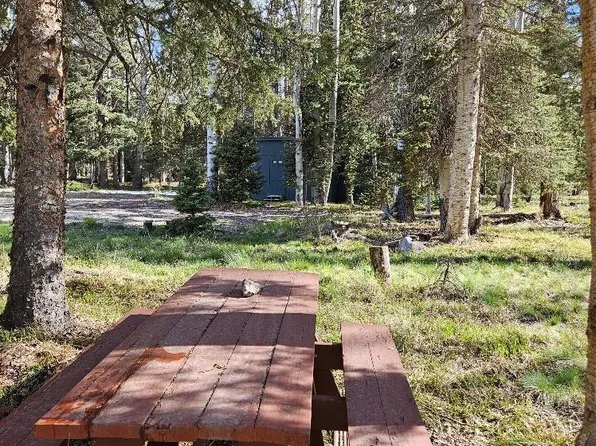322 Spruce Road, Cimarron, CO 81220