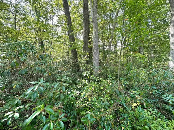 70 Pine Dr, Terra Alta, WV 26764