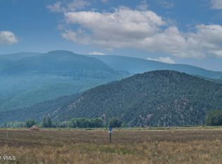 98 Doll Sta, Gypsum, CO 81637