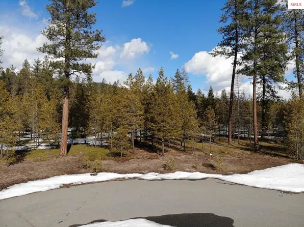 Nna Elsa Court Block #1-lot 5, Blanchard, ID 83804
