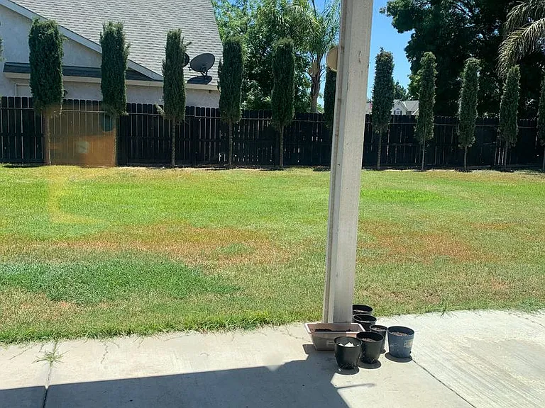 905 W Millbrook St — Photo 2