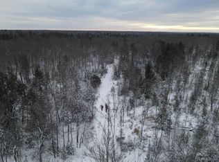 Ford Rd, Covington, MI 49919