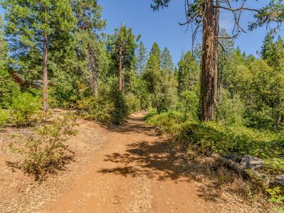 Gold Creek Trl, Volcano, CA, 95689