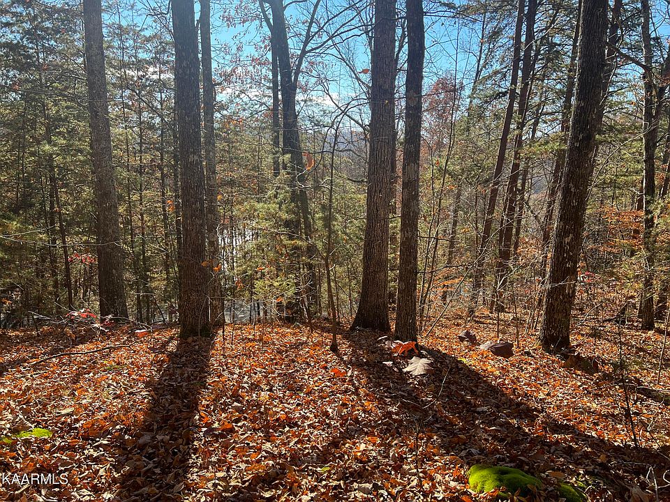 1st image of Norris Shores Dr