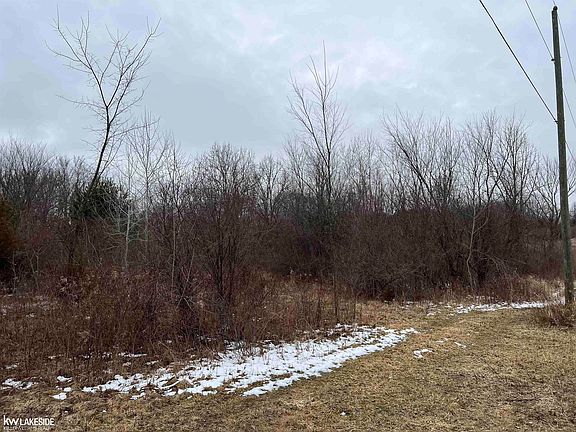 4th image of 0 Pinckney Rd