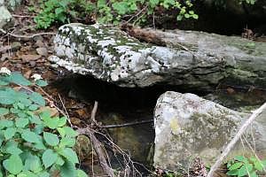 5th image of 579 County Road 9570