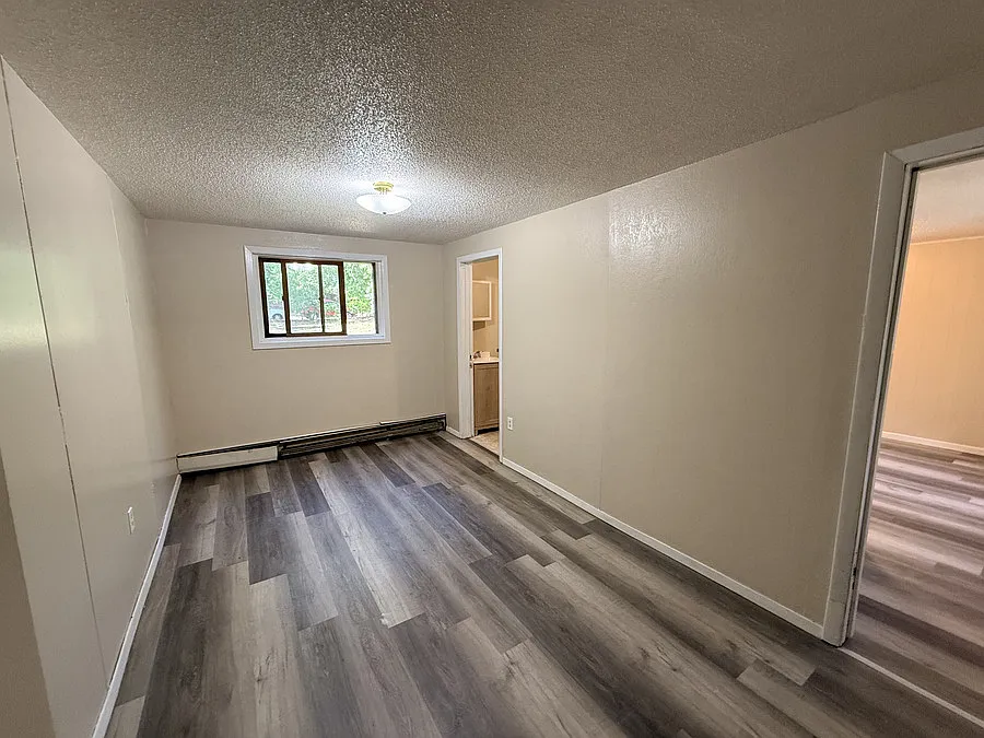 1 bed, $900 — Photo 4