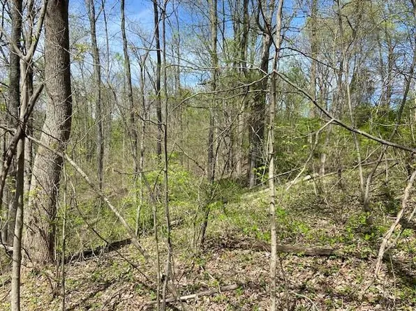 260 Doyles Ln, Brooksville, KY 41004