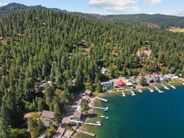 463XX Larson Beach Rd, Loon Lake, WA 99148