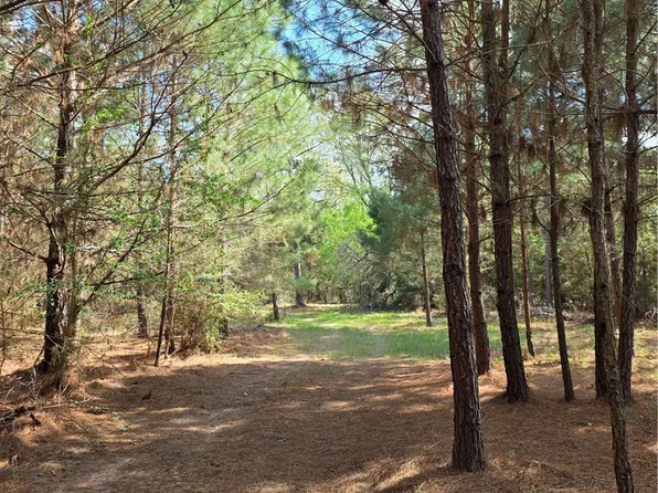 9118 Hazy Hollow Ln, Anderson, TX 77830