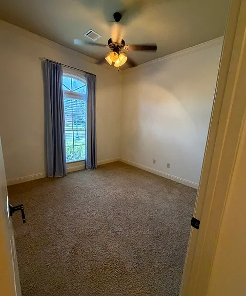 306 Bluebonnet Dr — Photo 4