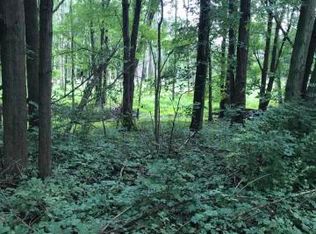 0 Fenner Rd, Laingsburg, MI 48848