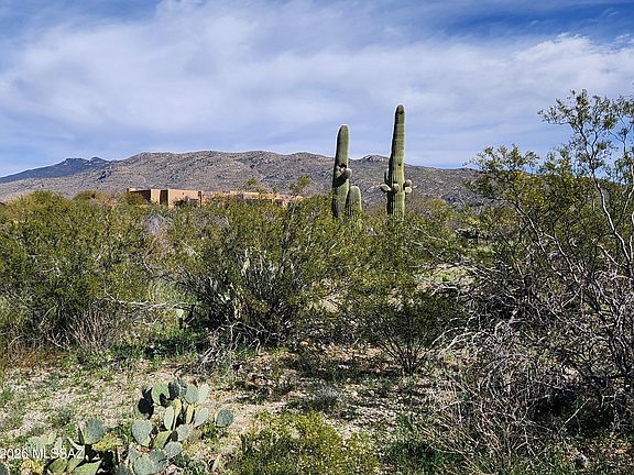 5th image of 4101 S Escalante Ridge Pl