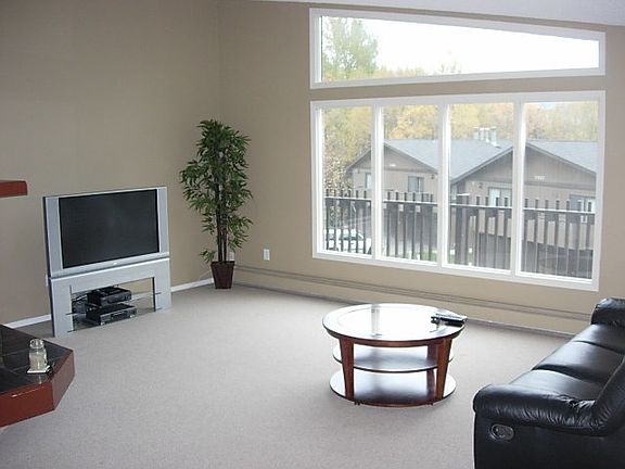 Vaulted Ceiling Livingroom