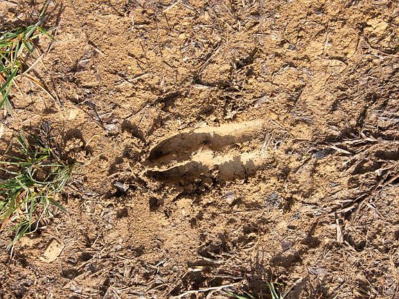 15th image of this home