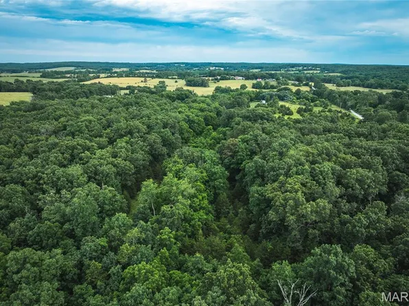 0 Highway Cc, Licking, MO 65542