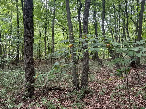 0 Sand Rock Rd, Huntingdon, PA 16652