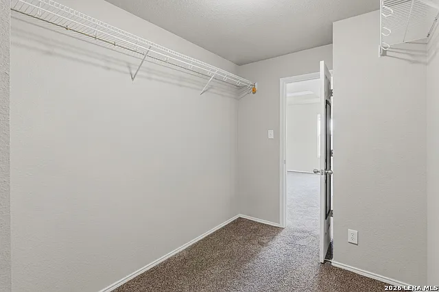 25513 Gold Yarrow — Photo 23