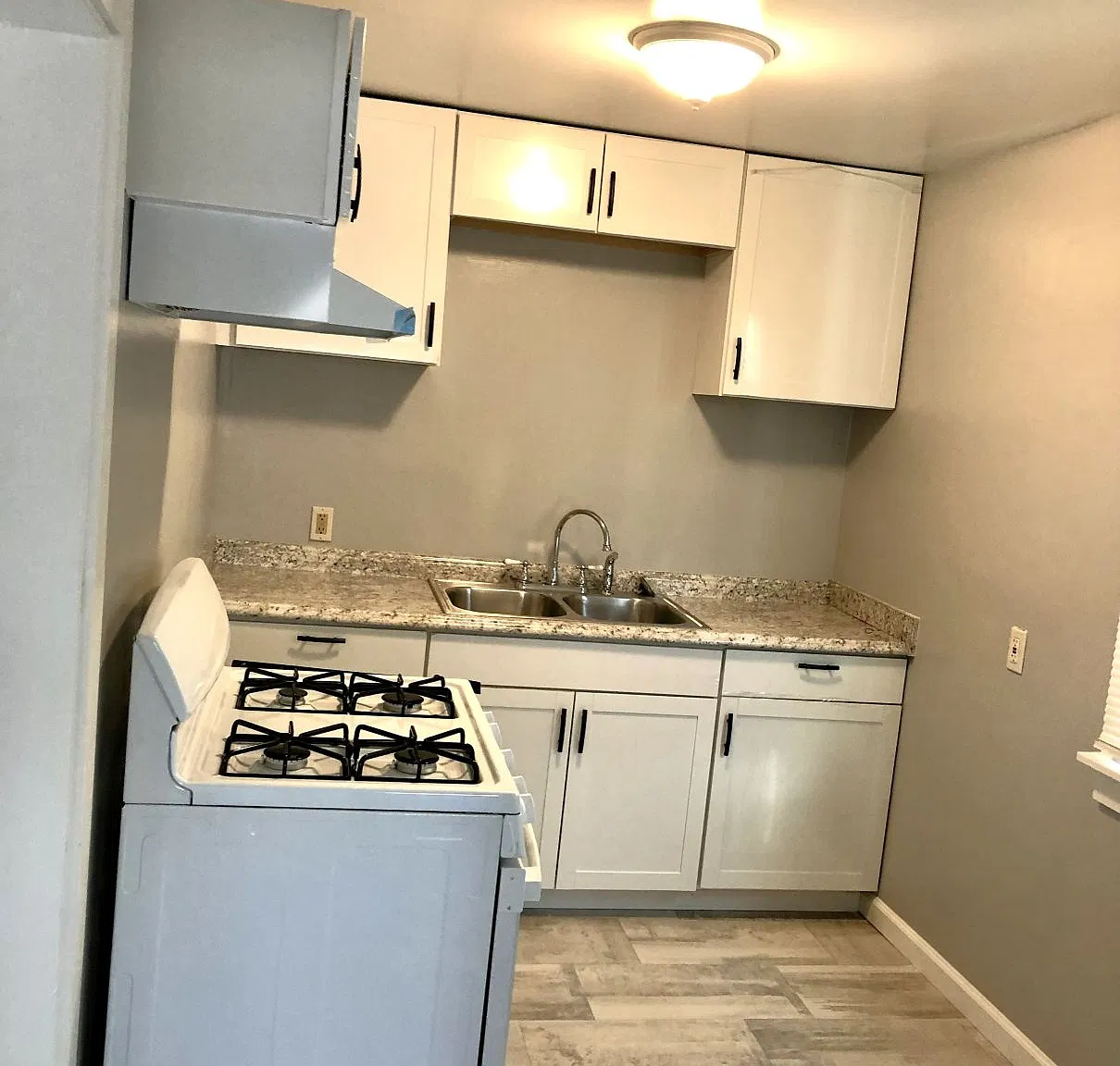 1 bed, 650 sqft, $1,600 — Photo 3