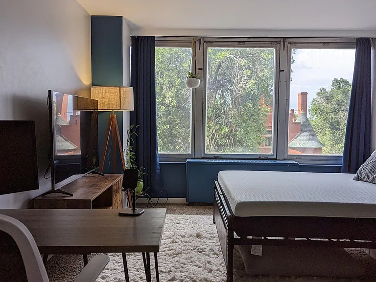 789 N Clarkson St #503 — Photo 4