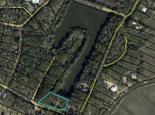 LOT 14 Carnochan Dr, Darien, GA 31305