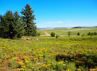 2964 Campfire Rd, Hartsel, CO 80449