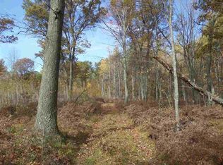 0 S 9th Rd, Falmouth, MI 49632