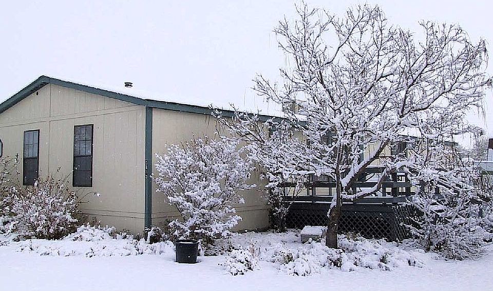 Rare snow fall