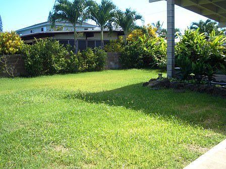 Large back yard