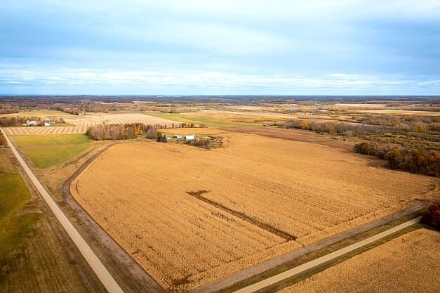 Crop land: Todd Co: from SW Corner looking NE'ly