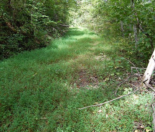 3rd image of Redbud Valley Dr