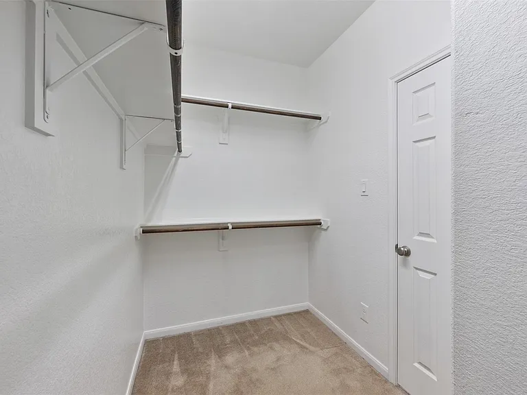 16911 Sedum Grn — Photo 16