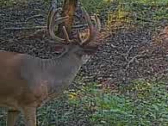 30th image of this home