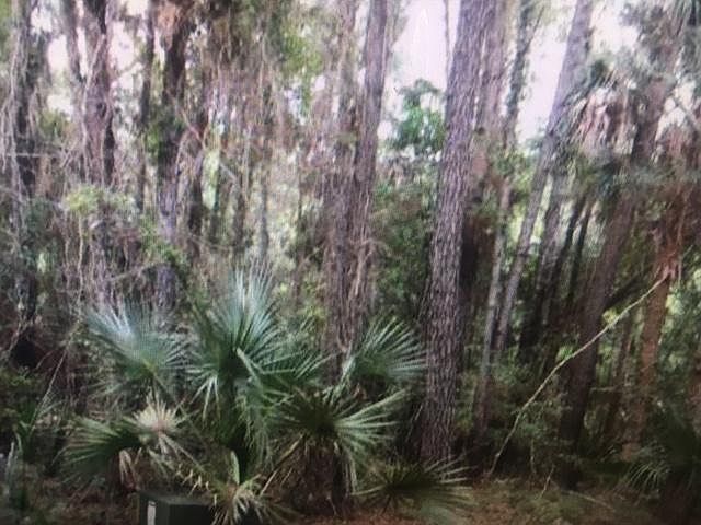 2nd image of 115 Spartina Ct