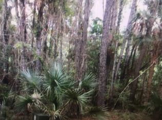 115 Spartina Ct LOT 115, Johns Island, SC 29455