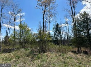 Cherry Ridge Rd LOT 1, Mount Storm, WV 26739
