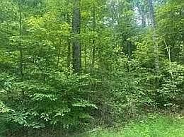 1st image of 962 S Down Rd