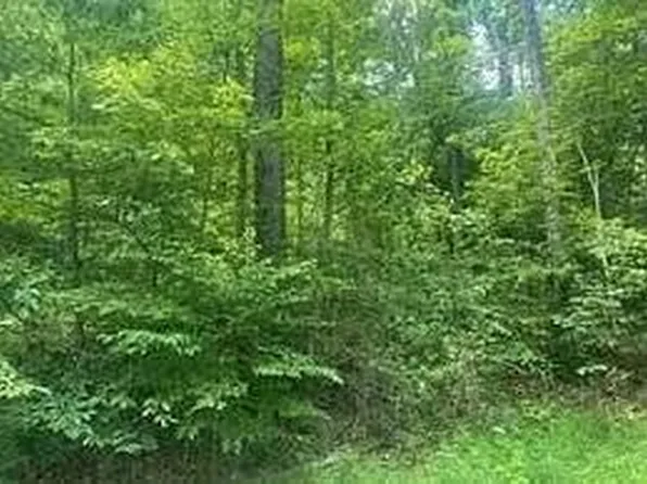 962 S Down Rd, Stout, OH 45684