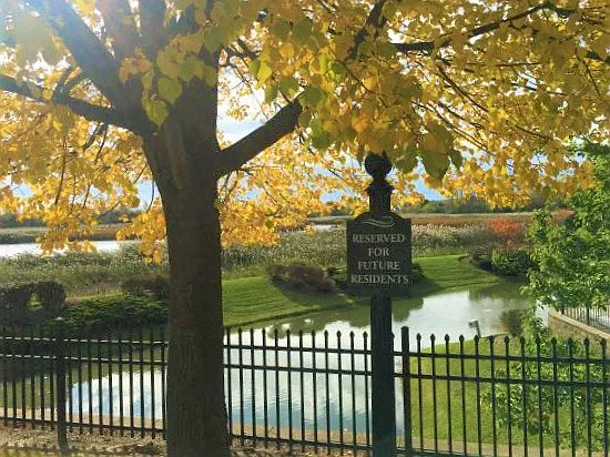 Visitor Parking in the fall